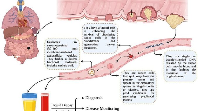 Colon-Cancer-Liquid-Biopsy