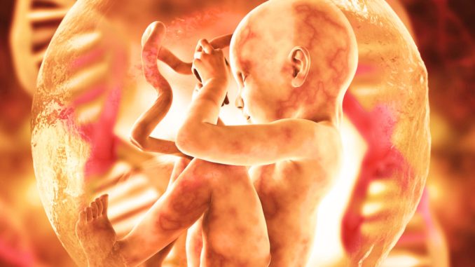 Fetus-DNA