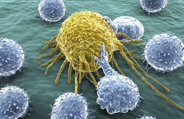 T-Cell-Tumor-Cells-1