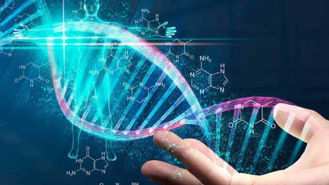DNA & Human